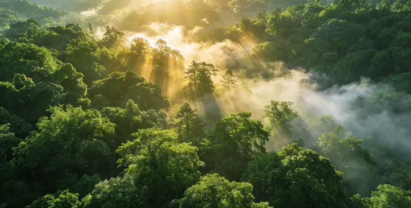 许昌肺癌172基因检测图片1