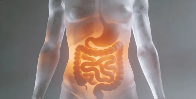 许昌胃癌靶向用药39基因检测（组织）图片1